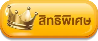 สิทธิพิเศษ หวย ลาว ส ตา ร์ วี ไอ พี